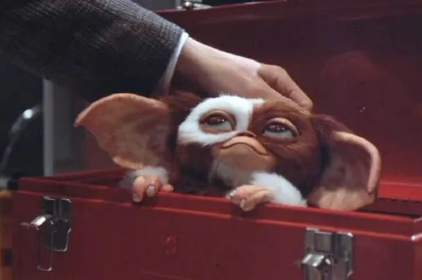 gizmo-datos-curiosos